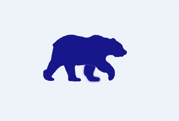 Логотип компании BEARRUSS